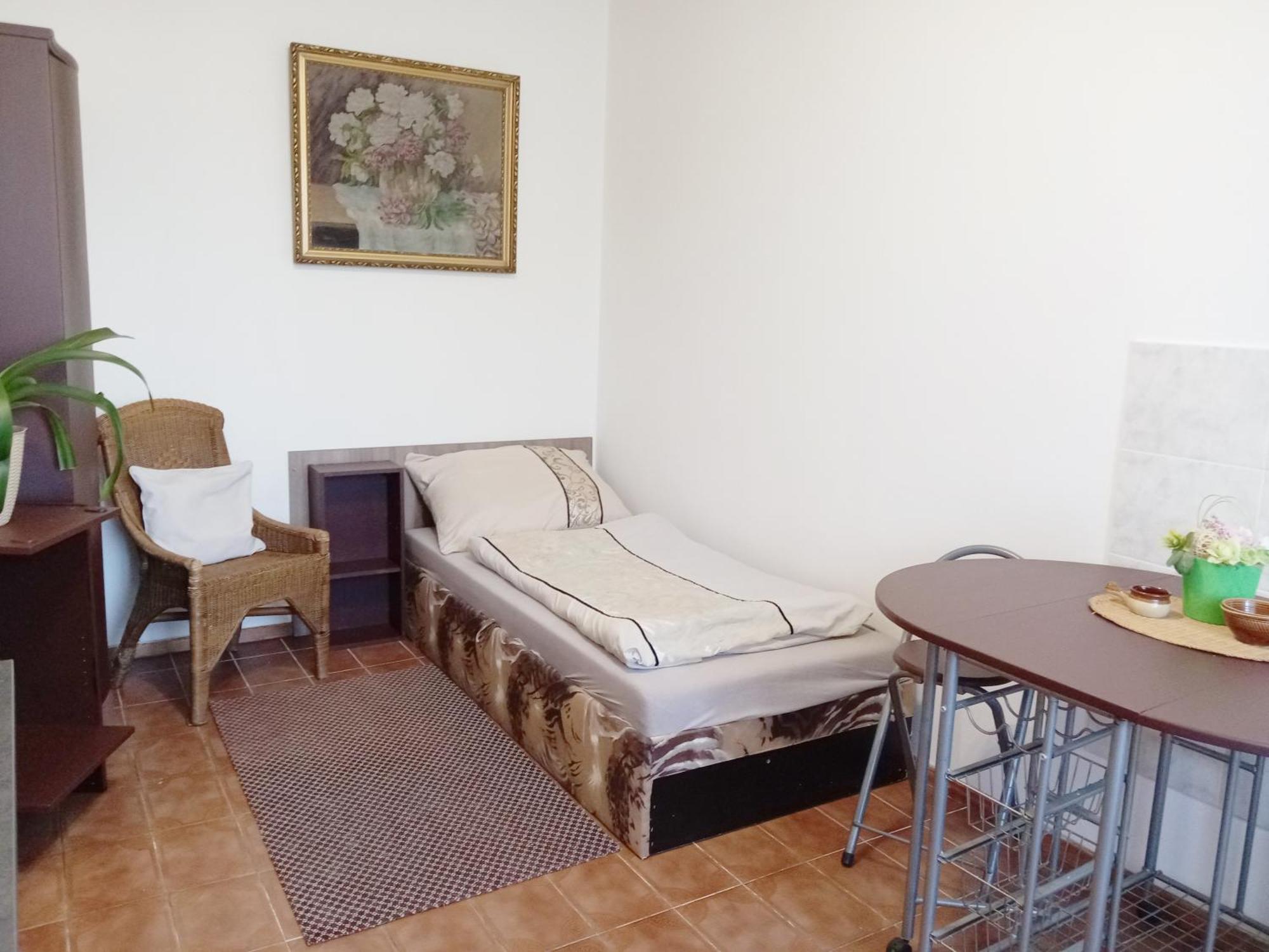 Apartments Alena - Karlovy Vary Room photo